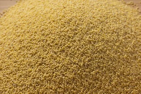 A lot of nutritious millet Stock Photos