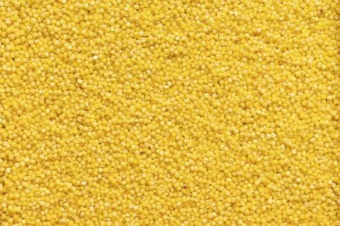 A lot of nutritious millet Stock Photos