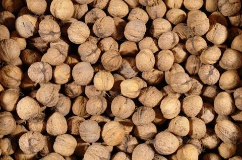 A lot of nuts Stock Photos