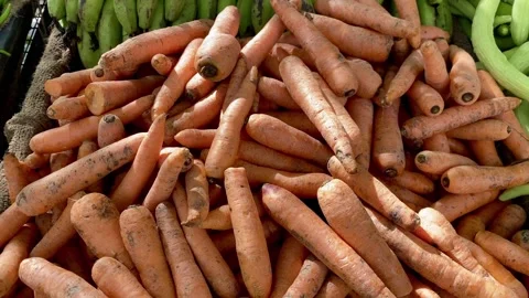 A lot of orange carrot or root carrot for sell. root carrot. raw carrot. Stock Footage 287438544