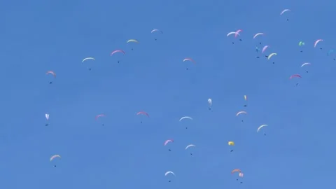 A lot of paragliders in the sky 動画素材 219400731