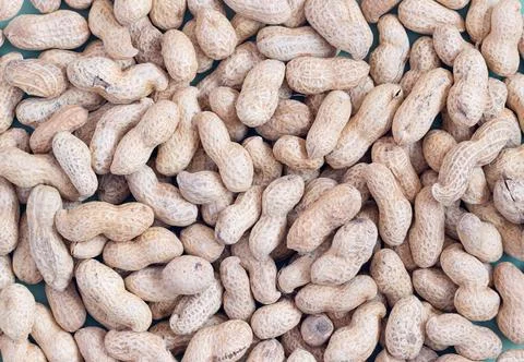 A lot of peanuts in a shell, a background of peanuts Stock Photos