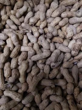 A lot of peanuts in the shell Stock Photos