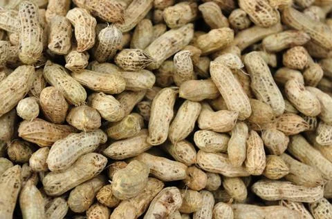 A lot of peanuts in shells, background and patterns. Stock Photos