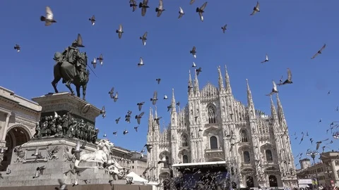 Lot of pigeons fly over Piazza del Duomo in Milan Stock-Footage 88171665