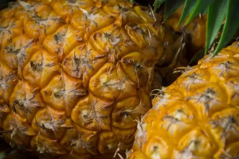 A lot of pineapple fruit background Stock-Fotos