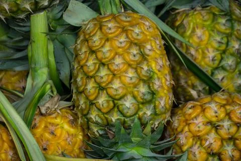 A lot of pineapple fruit background Fotos Stock