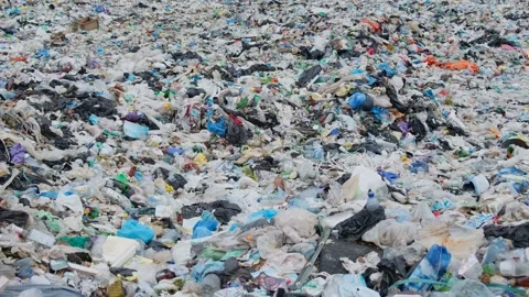 A lot of plastic waste in the middle of the forest. The drone flies very low Stock-Footage 250169185