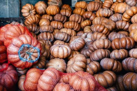 Lot of Pumpkins Stock Photos