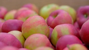 Lot of red apples. Stock Footage 85555584