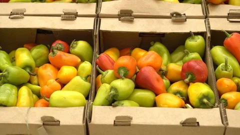 A lot of red pepper closeup panoramic on a 4K background in the store for buyer. Video stock 116789966