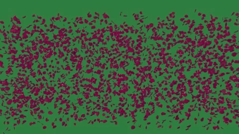 Lot of red spots petals dots lots 動画素材 336969018