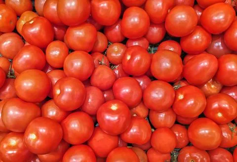 A lot of red tomatoes Stock Photos