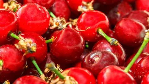 A lot of ripe cherry Stock Photos
