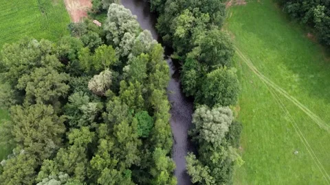 The lot river Stock Footage 247276465