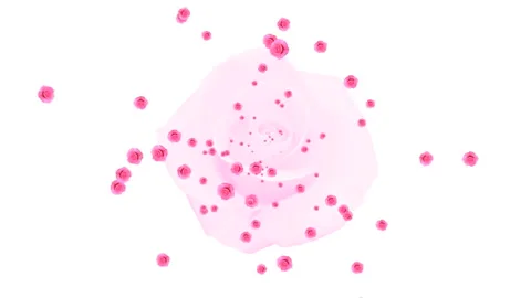 A Lot of Roses 스톡 동영상 327421148