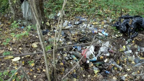 A lot of rubbish is dumped under the trees from tourists. Stock Footage 195298552