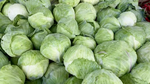 A lot of  savoy cabbage with beautiful sheets for sell in indian market. Stock-Footage 287438366