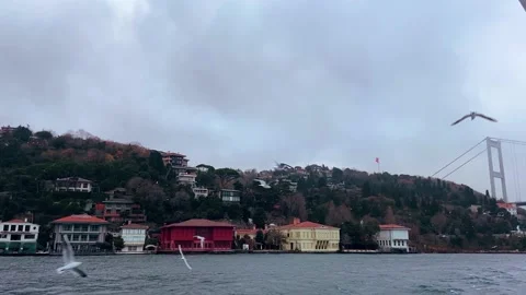A lot of seagulls fly in front of the camera in slow motion. Hungry seagulls fly Vídeos de archivo 218464220