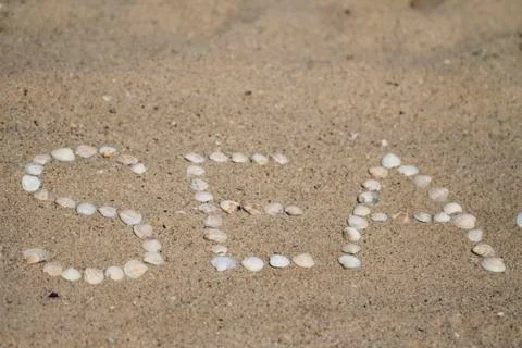 A lot of seashells Stock Photos