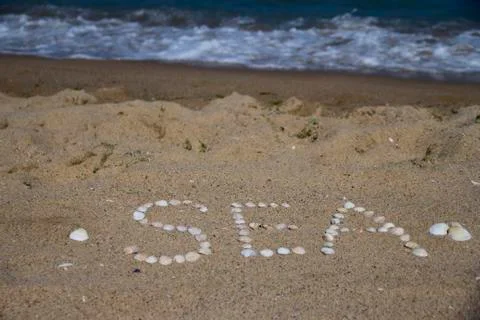 A lot of seashells Stock Photos