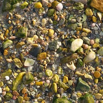 A lot of seashells, texture background. Close up. Top View Stock Photos