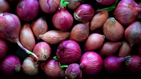 Lot of Shallots Stock-Footage 156167147