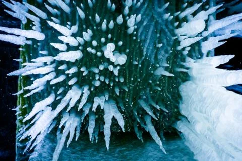 Lot of sharp and long icicles Stock Photos
