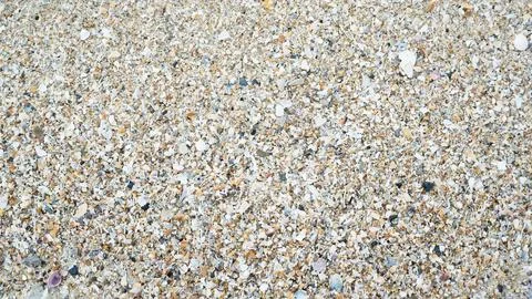 A lot of shells for a background. Foto stock