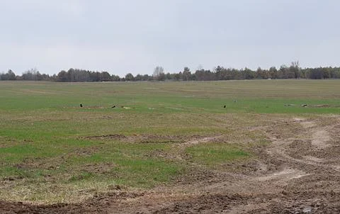  A lot of shells, including unexplod. Stock Photos