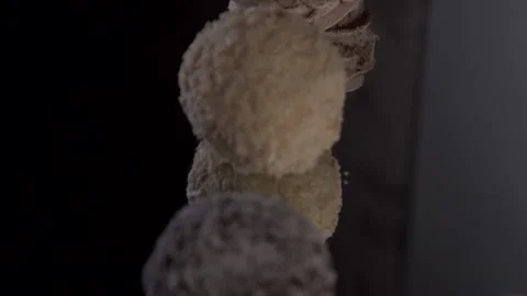 A lot of sweets. Many sweets. Multi-colored sweets Stock Footage 130268549