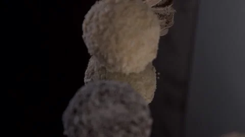 A lot of sweets. Many sweets. Multi-colored sweets Stock Footage 130268674