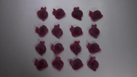 A lot of sweets. Many sweets. Multi-colored sweets Stock Footage 130742162