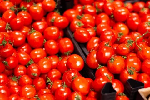 A lot of tomatoes in boxes in the store. Stock Photos