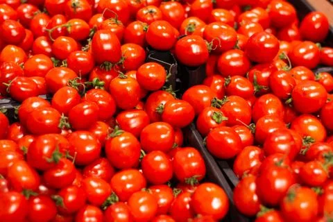 A lot of tomatoes in boxes in the store. Stock Photos