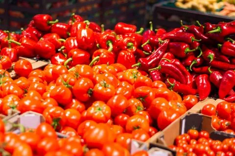 A lot of tomatoes in boxes in the store. Stock Photos