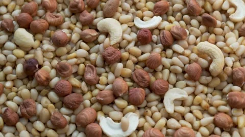 A Lot of Useful Pine Nuts, Hazelnuts Cashew, Close-up, Top View. Background of P Stock Footage 142874483