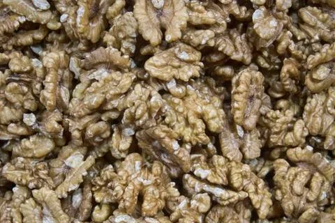 Lot of walnut texture of food without shell Stock Photos