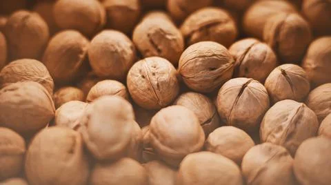A lot of walnuts in brown shells are on sale in a grocery store. The harvest  Stock Photos