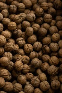 A lot of walnuts close-up Stock Photos
