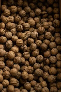 A lot of walnuts close-up Stock Photos