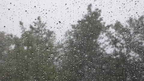 Lot of water drops on window. Storm. Stock Footage 94099533