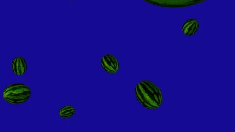 A lot of Watermelon falling down from the top on blue screen background Stock Footage 322893446