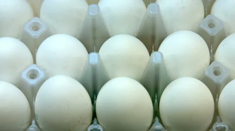 A lot of white chicken eggs Stock Footage 67980698