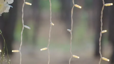 A lot of white lamps on the tree Stock-Footage 149779264