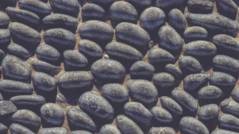 Lot of white masonry cladding pebble texture seamless loop. Stones pattern .. Video stock 225549674