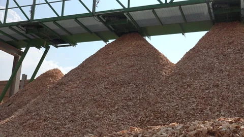 A lot of Woodchips waiting to be processed Stock Footage 239775642