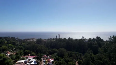 Lota Stock Footage 203923099