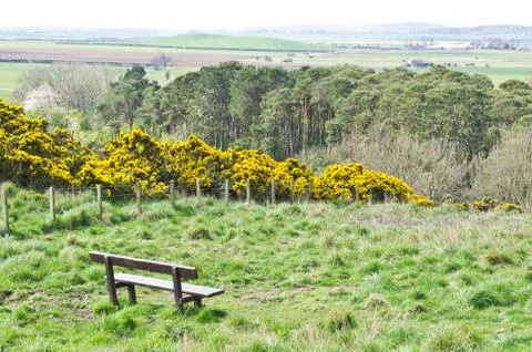 Lothian landscape Stock Photos