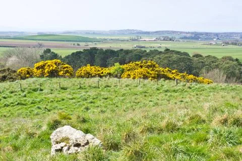 Lothian landscape Stock Photos